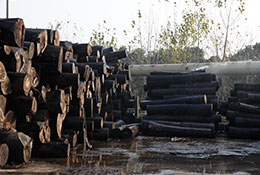 ��ˮ����